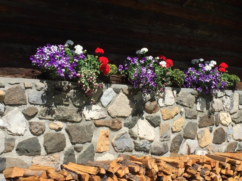 Romantik Villa Cesanueva Selva di Val Gardena Exterior photo